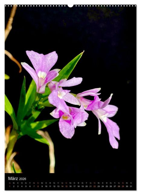 additionalImage8