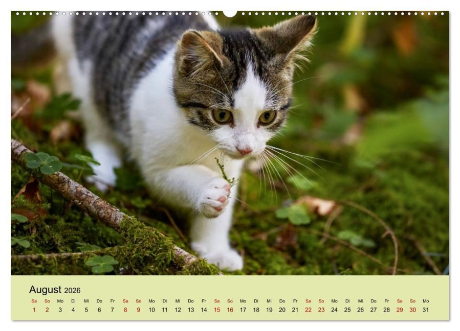 additionalImage13