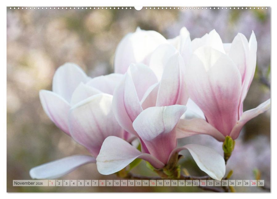 additionalImage2