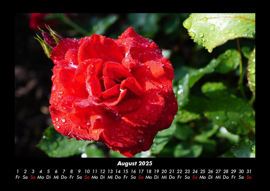 additionalImage12