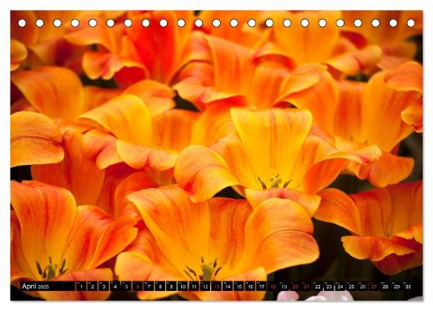 additionalImage9