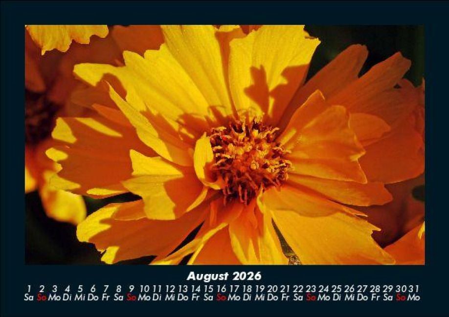 additionalImage12