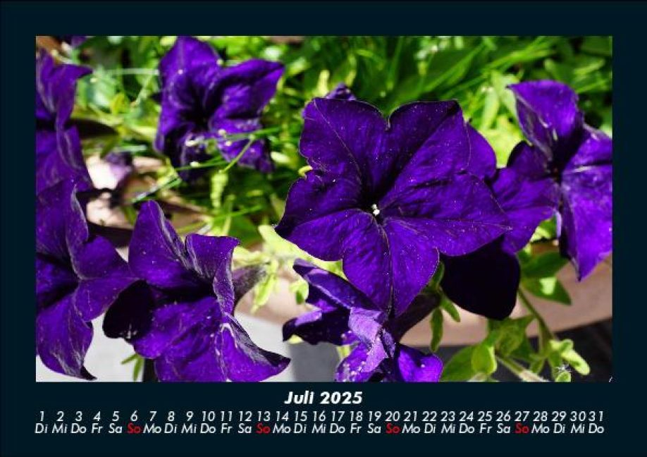 additionalImage11
