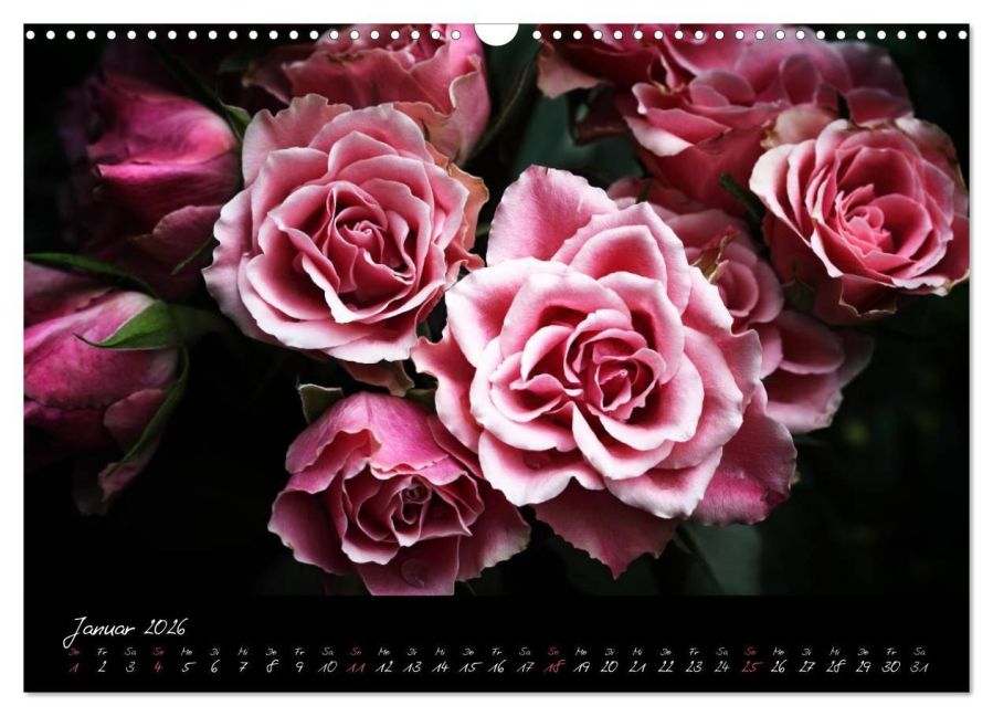 additionalImage6