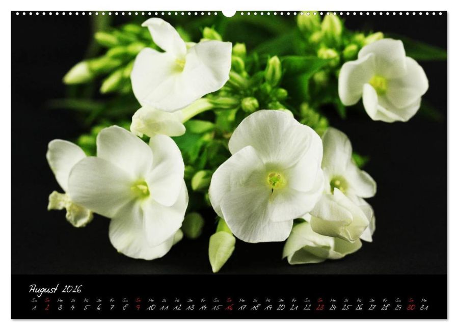 additionalImage13