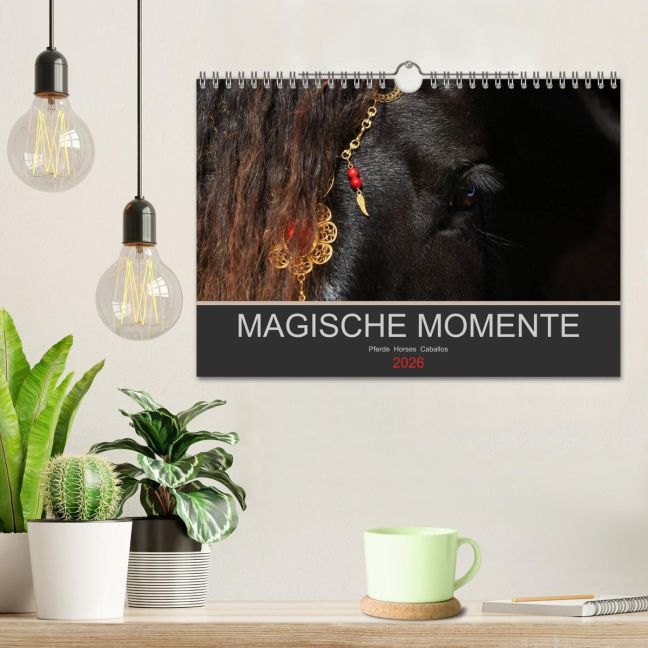 additionalImage1