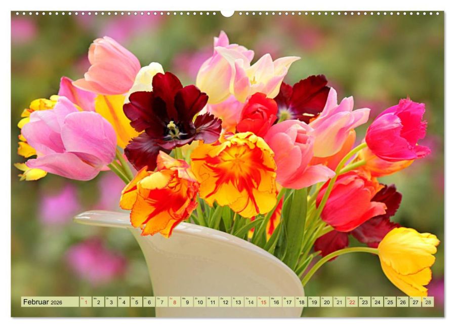 additionalImage6