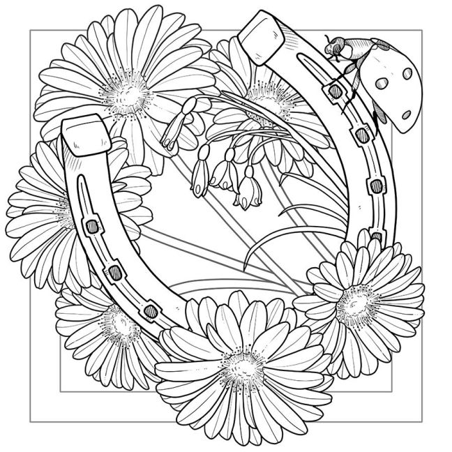 additionalImage2