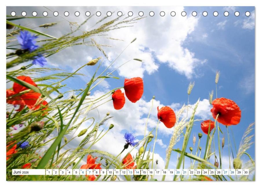 additionalImage11