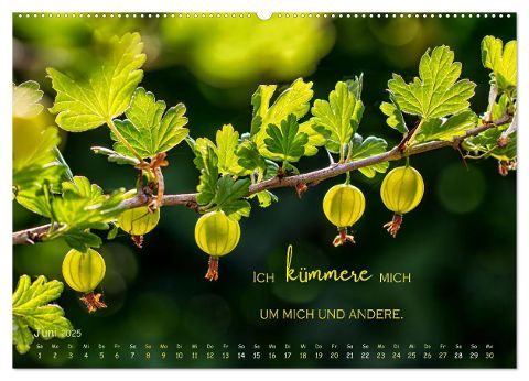 additionalImage11