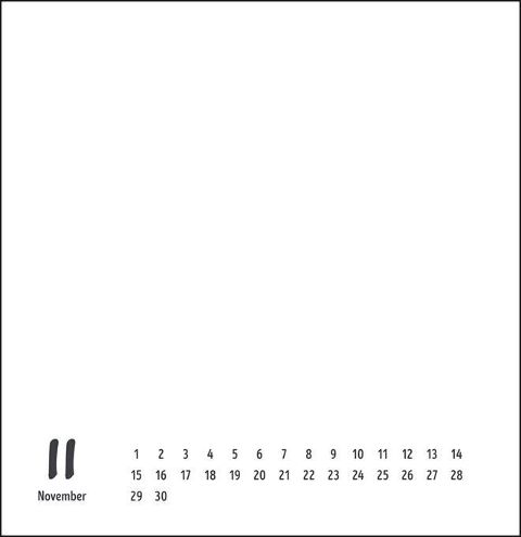 additionalImage11