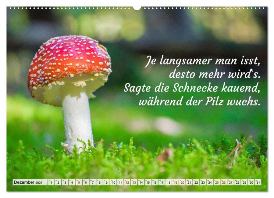 additionalImage4