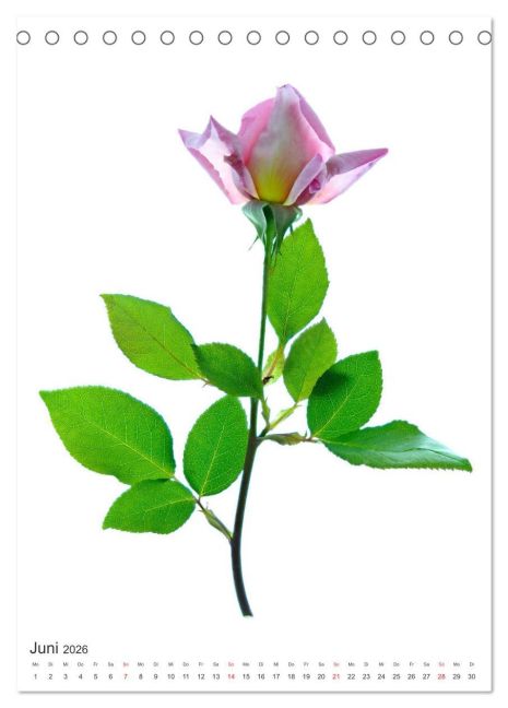additionalImage11