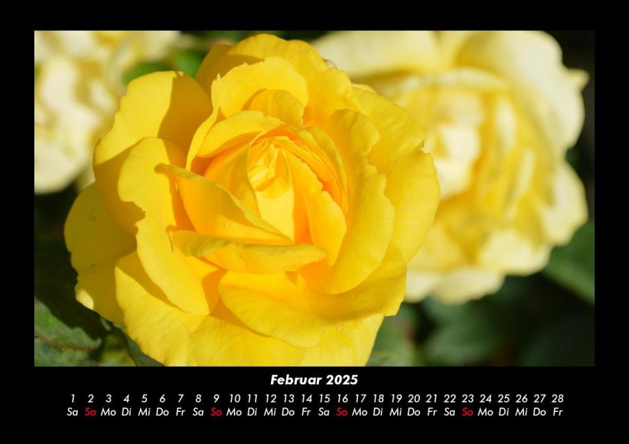 additionalImage6