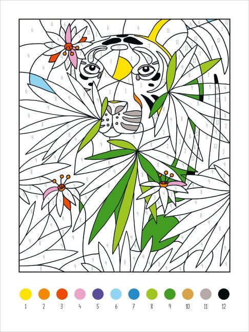 additionalImage4