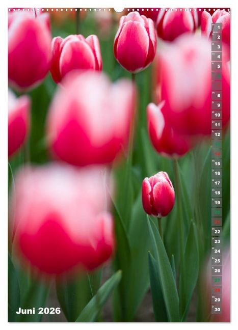 additionalImage10