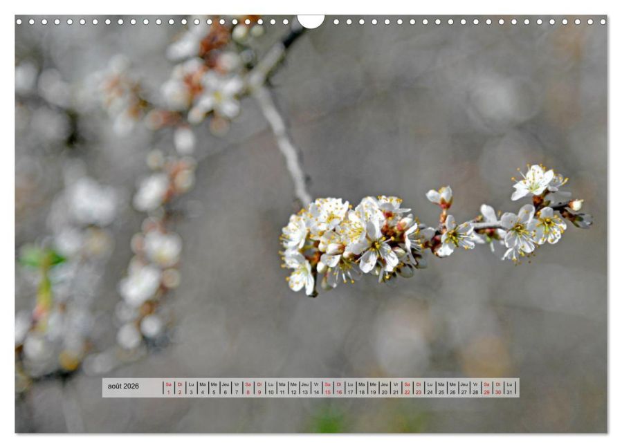 additionalImage13