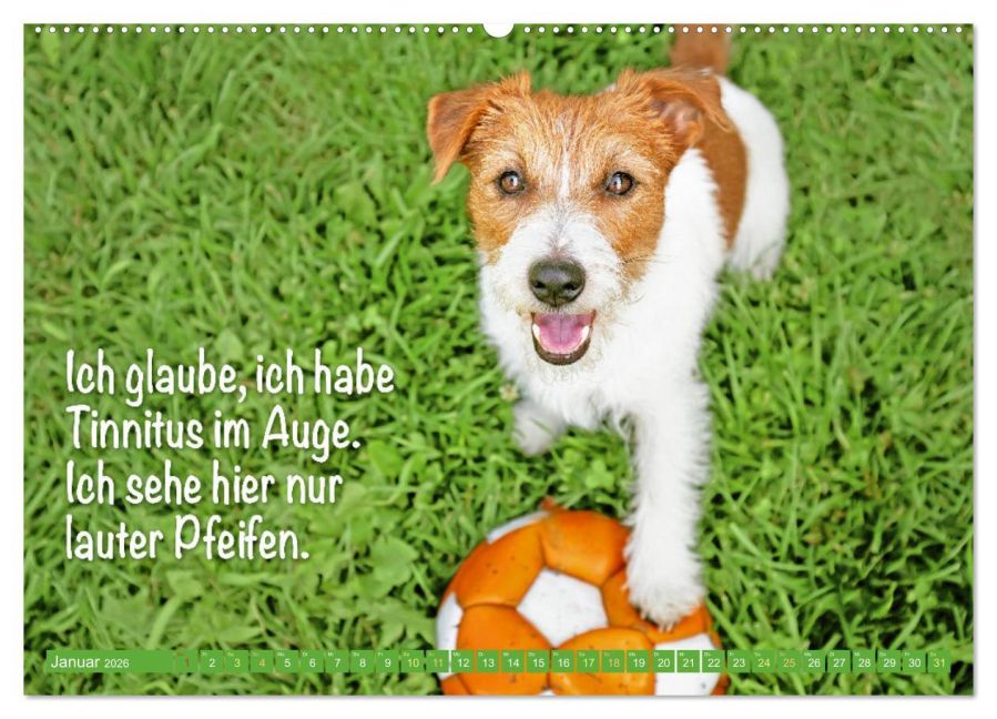 additionalImage5