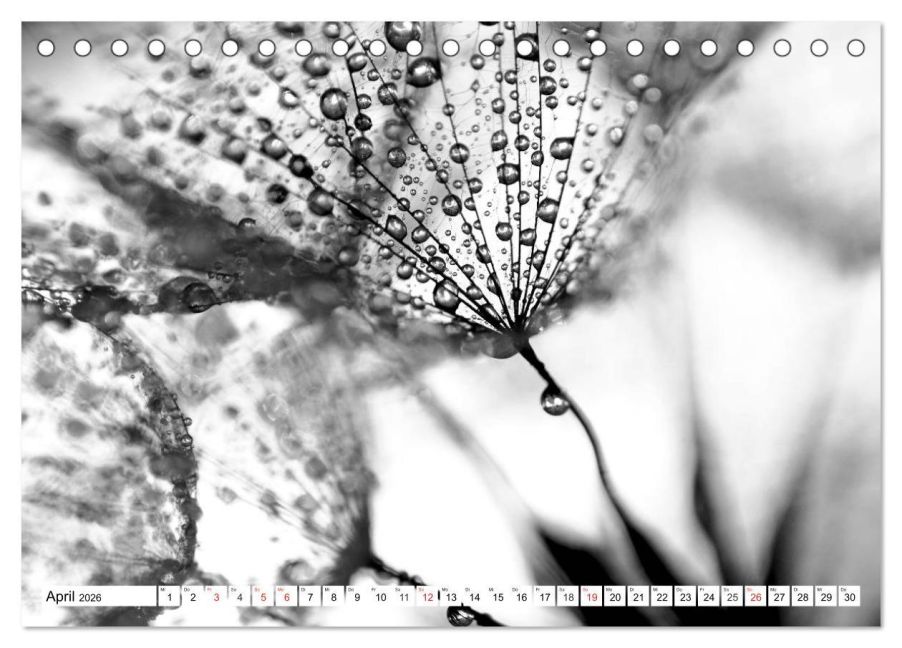 additionalImage9