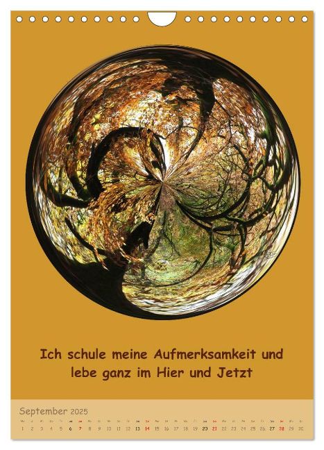 additionalImage14