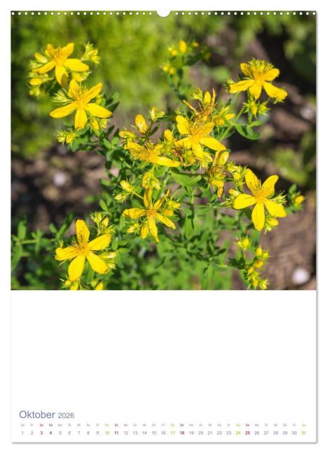 additionalImage1