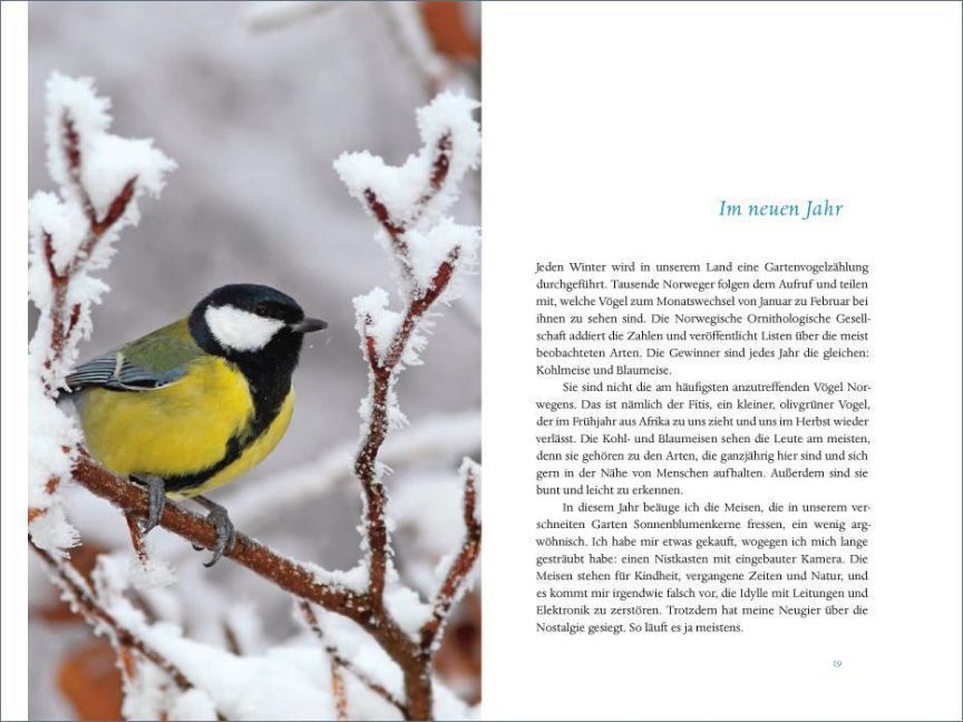 additionalImage1