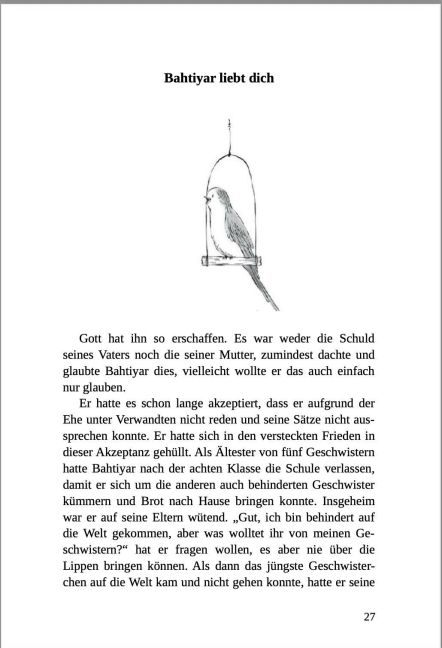 additionalImage1