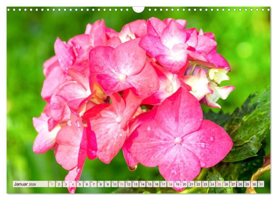 additionalImage6
