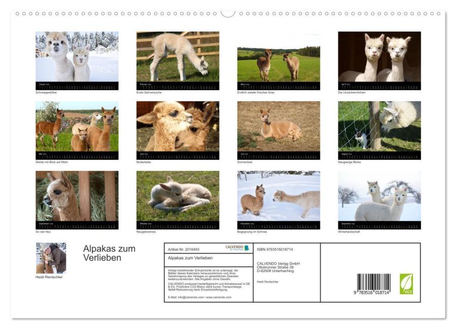 additionalImage4