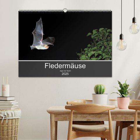 additionalImage1