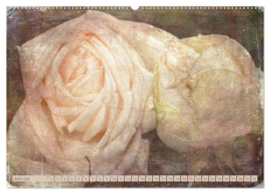 additionalImage10