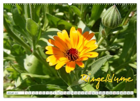 additionalImage5