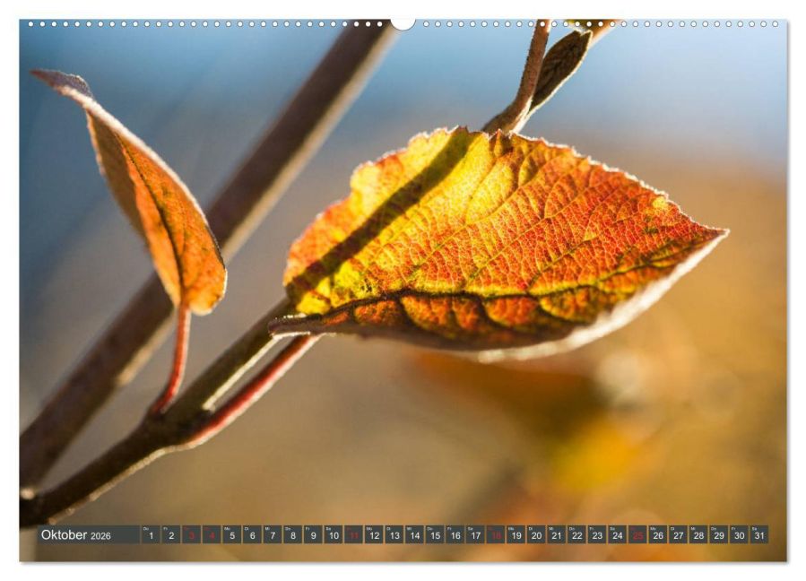additionalImage1