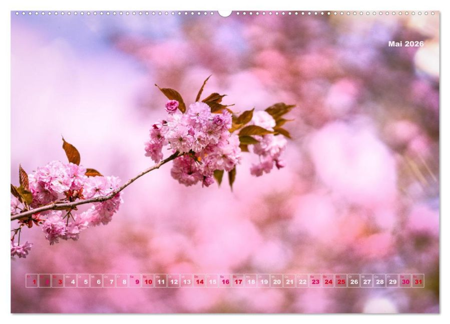 additionalImage10