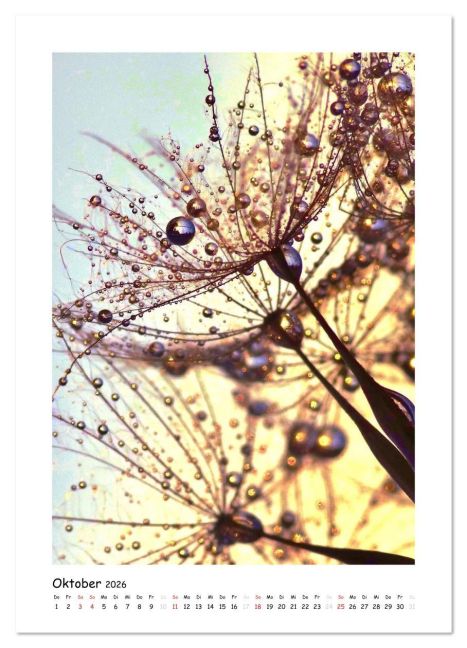 additionalImage1