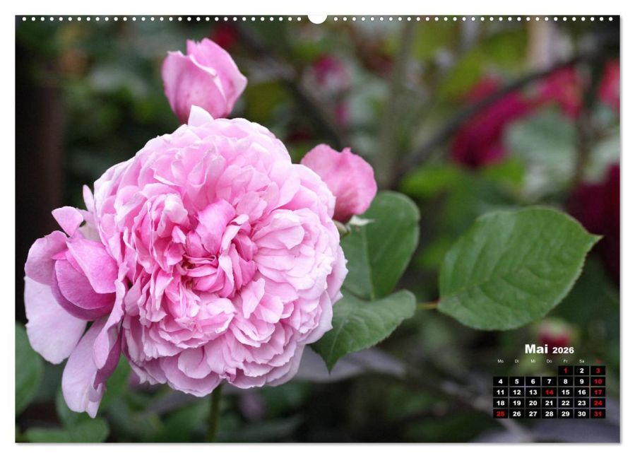 additionalImage10