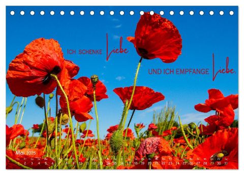 additionalImage10
