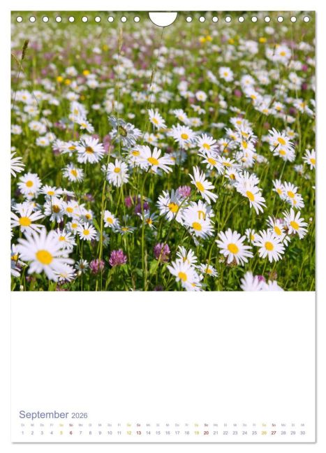 additionalImage14