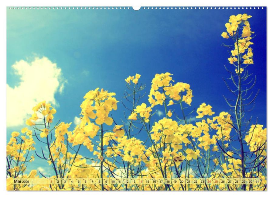 additionalImage10