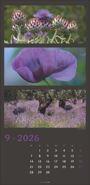 additionalImage9