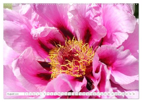 additionalImage12