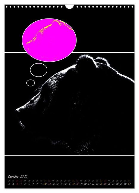 additionalImage2