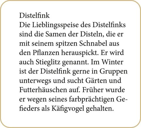 additionalImage1