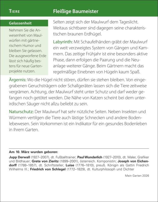 additionalImage4