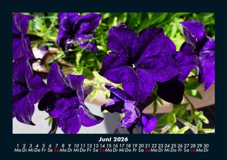 additionalImage10