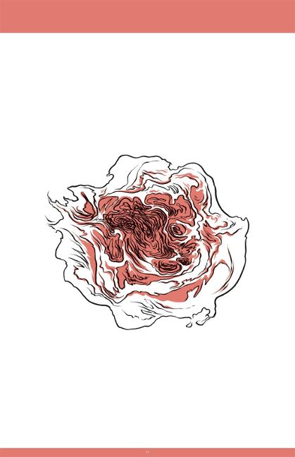 additionalImage6