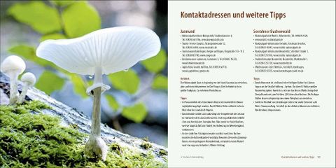 additionalImage7