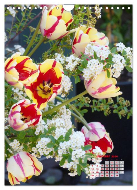 additionalImage6