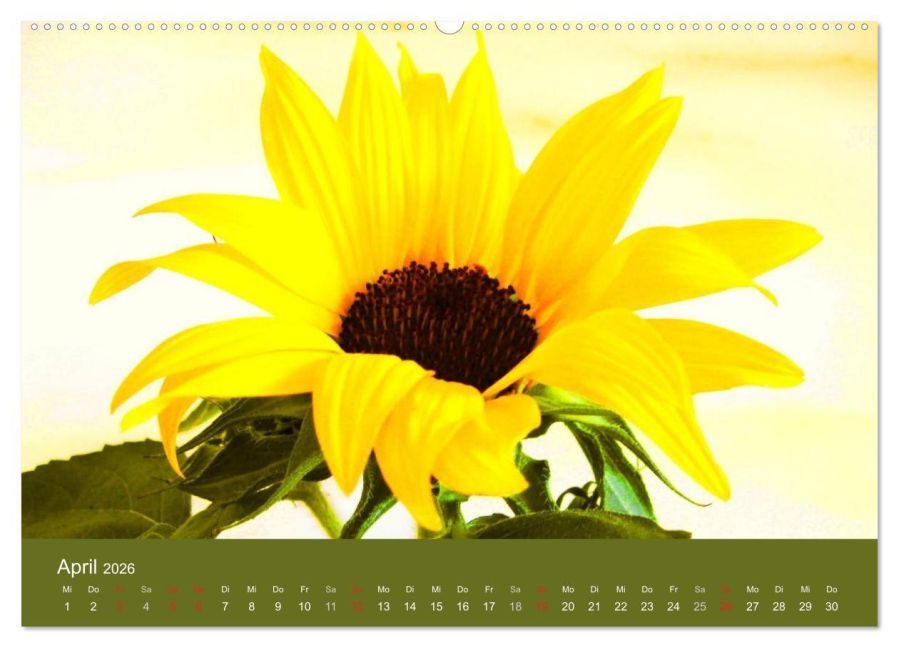 additionalImage8