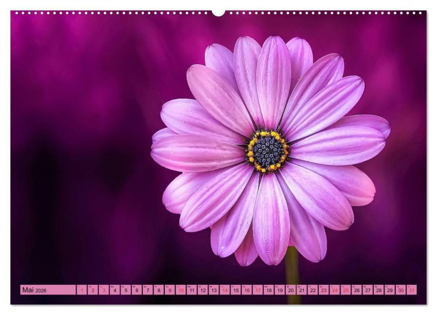 additionalImage9